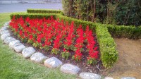 /album/plantacion/plantacion-2-mini-jpg/
